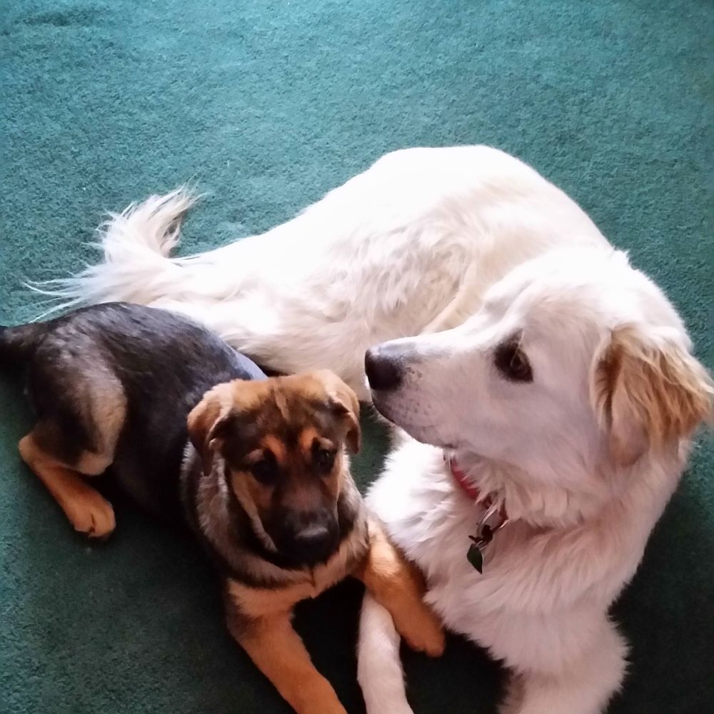 Meet your Posher, Rita